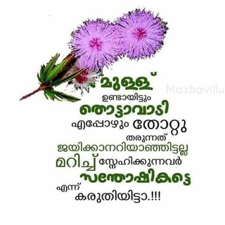 Pradeep Thayyil YouTube Channel ?