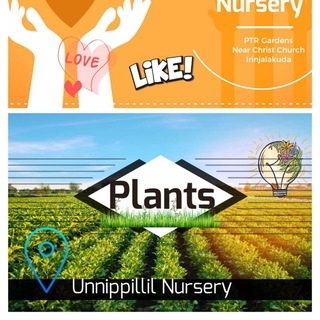 Unnippillil Agro Hitech Nursery