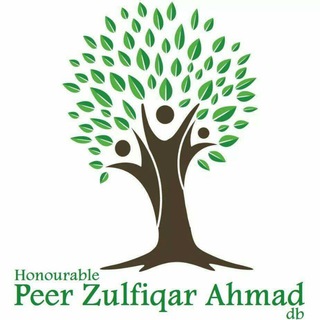 Peer Zulfiqar Ahmad DB