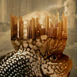 King fish iran ***