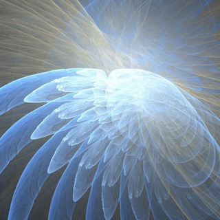 Aʟᴀᴇ Pʜᴏᴇɴɪᴄɪs ?