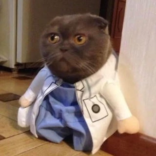 в поликлинике ?