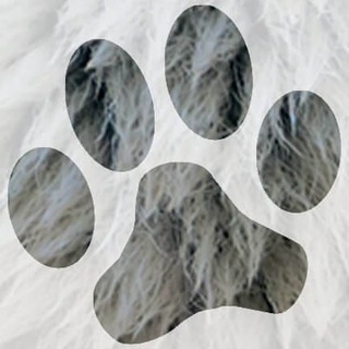 Anthrodex.com Social