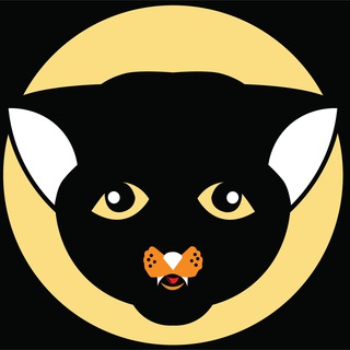 Baby Wakanda inu