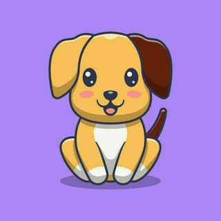 Dinky Doge Coin Global
