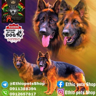 ??Ethio Pets Shop ®??‍?