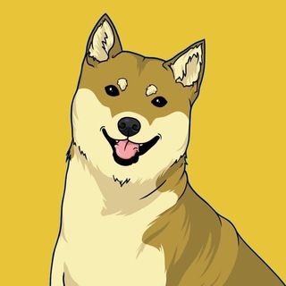 KIKU INU (DO NOT BUY- REBRAND SOON)