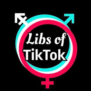 Libs of TikTok