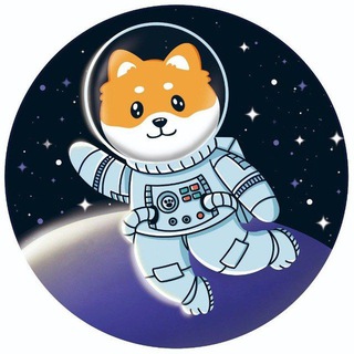 SpaceDoge-