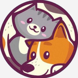 Neko Inu