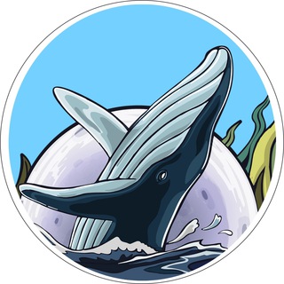 Whale Offspring