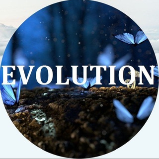 ☘️EVOLUTION | КАНАЛ? - Telegram Channel