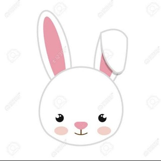 Study bunny ??