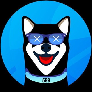 xrdoge