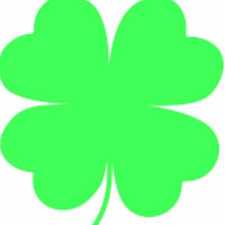 IELTS India