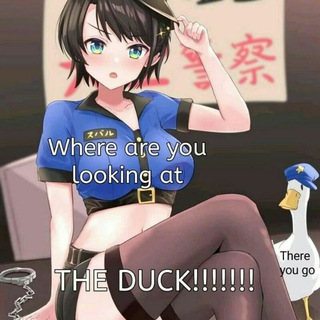 Adult Anime MEME