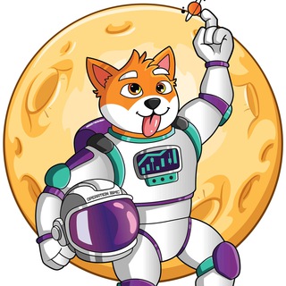 FindShibby ($FSHIBBY) - LIVE on Pancakeswap