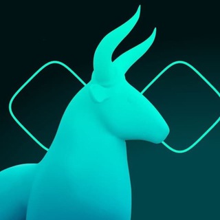 BullPerks Official Chat