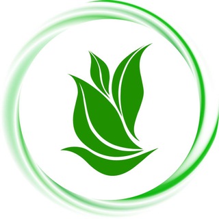 laminalife narxi qancha