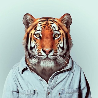 Блокнот ⚒ Перископа