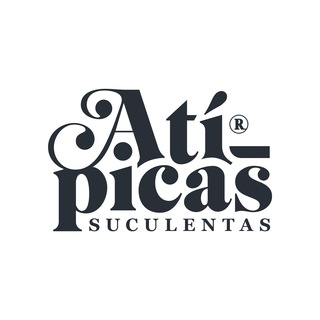 Atípicas Suculentas