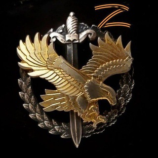 Я/МЫ ОМОН - Telegram Channel