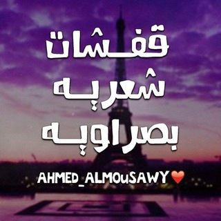 قفشات شعريه
