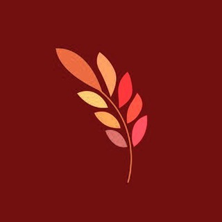 Democarcy Mars Chat - марсчат