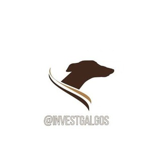 ?Invest Galgos Free? ?Ganhe dinheiro todo dia no mercado de AVB? - bet365r