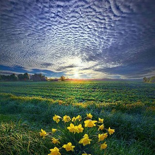 کا نال روستایی نوگل ❤❤