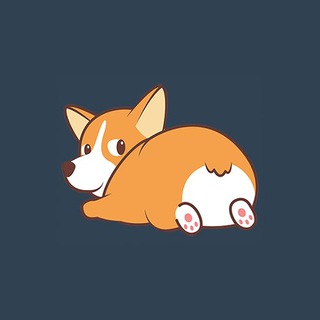CorgiCoin Official Telegram ?✅ - corgicoin