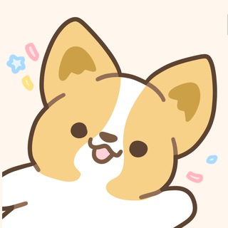 Corgiyolk - corgiyolk