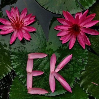 Ente kottayam - ente kottayam