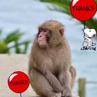 Notes - mohit chouksey