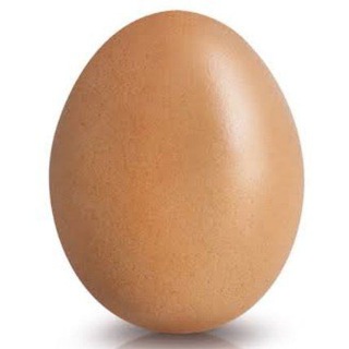 Egg Channel