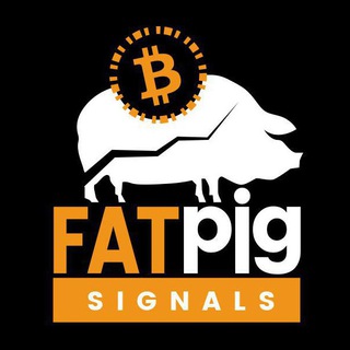 fat pig signals