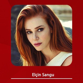 Elçin Sangu