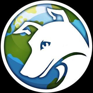 LaikaCommunity ?Pls Don't Buy⚠️