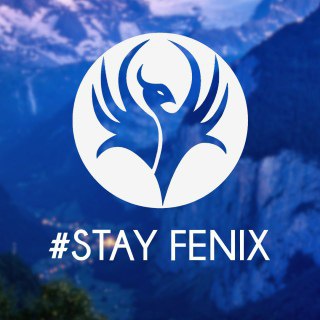 Project Fenix Builds - fenix builds