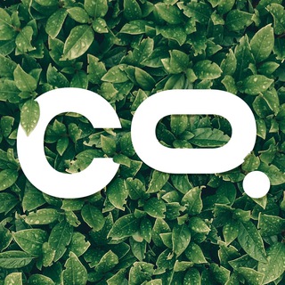 MCO2 token Chat Pt-BR