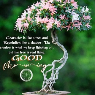 BSG - Blockchain spit game