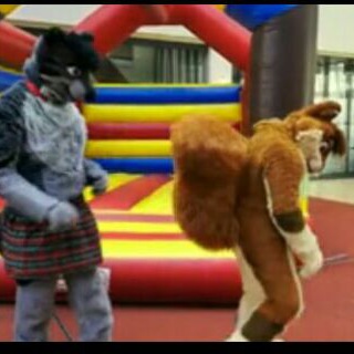 Fursuit gifs - fursuit gifs