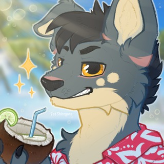 Further Confusion Announcements [Official]