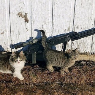 Aryan Flexing Zone - harassment architecture audiobook