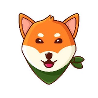 BogeCoin