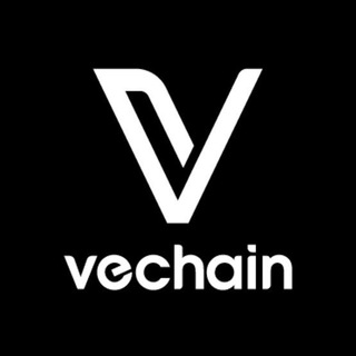 VeChain Dev Community