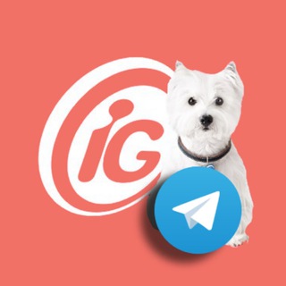 iG Canal do Pet - igpet