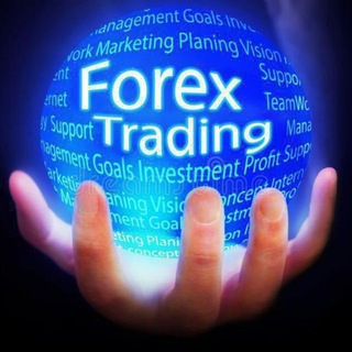 Forex Trading Investment - invest48