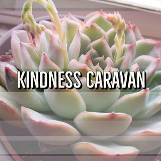 ? @KindnessCaravan • This Caring Caravan From Kindness, Colorado • Intuitive Public Radio • IPR ••• - join the caravan radio