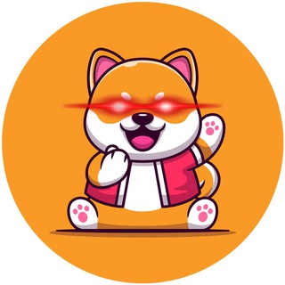 KaiKen Shiba Chat - kaiken shiba